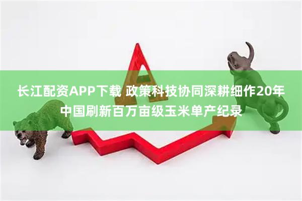 长江配资APP下载 政策科技协同深耕细作20年中国刷新百万亩级玉米单产纪录