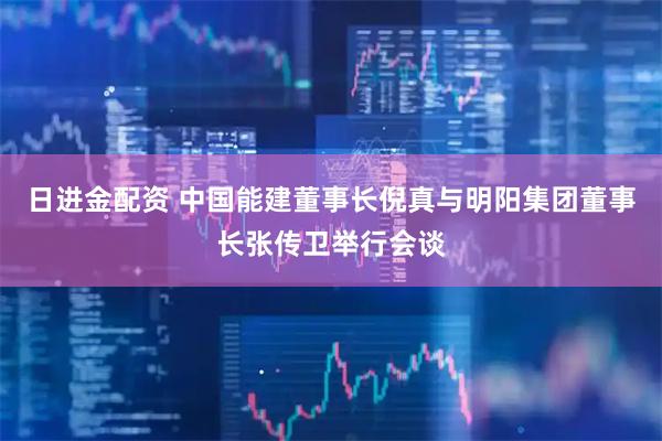 日进金配资 中国能建董事长倪真与明阳集团董事长张传卫举行会谈