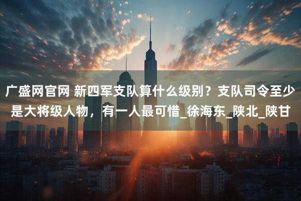 广盛网官网 新四军支队算什么级别？支队司令至少是大将级人物，有一人最可惜_徐海东_陕北_陕甘