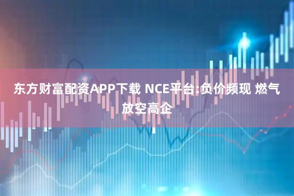 东方财富配资APP下载 NCE平台:负价频现 燃气放空高企