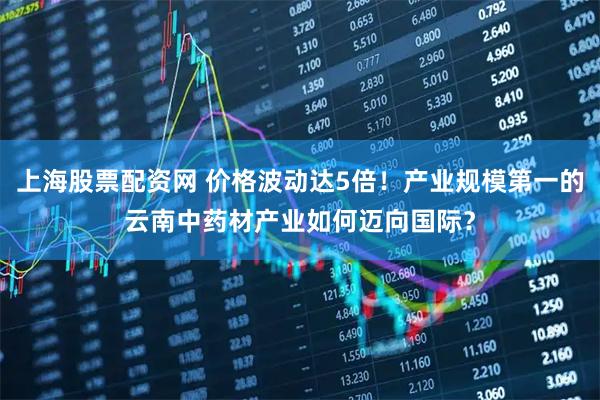 上海股票配资网 价格波动达5倍！产业规模第一的云南中药材产业如何迈向国际？